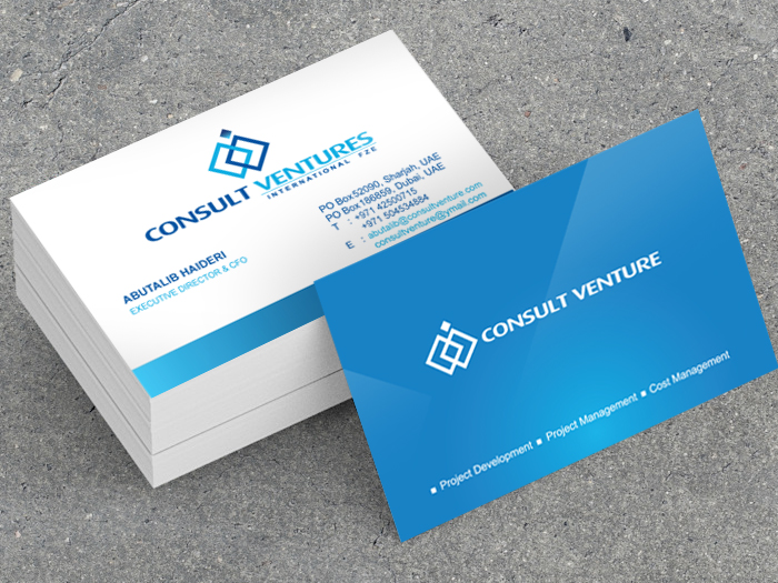 Consult Ventures